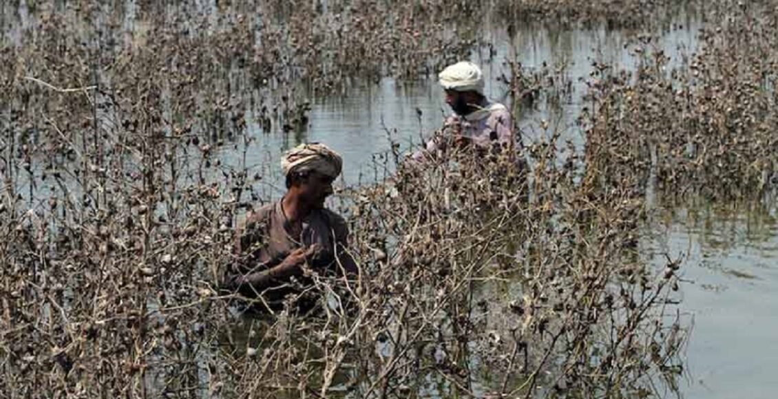 برطانیہ میں پاکستان کے ہائی کمشنر ڈاکٹر محمد فیصل لندن میں پریس کانفرنس کے دوران موسمیاتی مالیات کے حوالے سے گفتگو کرتے ہوئے۔