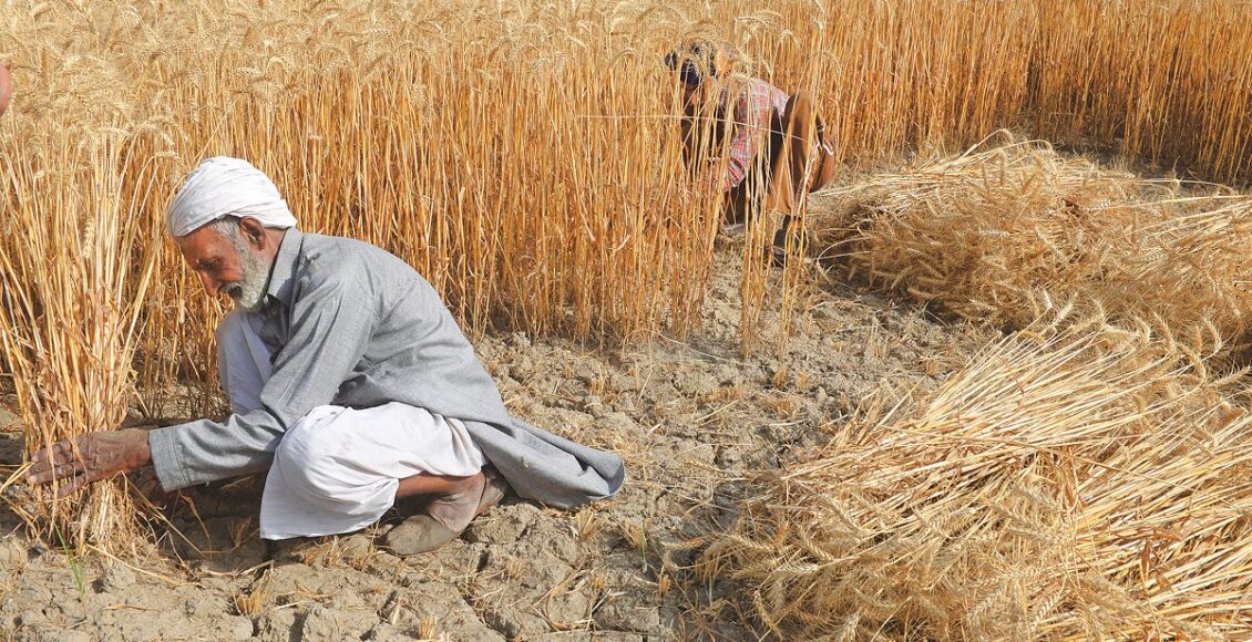 ترجمان محکمہ زراعت پنجاب کے مطابق وزیراعلیٰ پنجاب گرین ٹریکٹرز پروگرام فیز III کے تحت کامیاب قرار پانے والے کاشتکاروں کو مطلع کیا جاتا ہے کہ الاٹمنٹ لیٹر وصول کرنے اور اپنے حصے کی رقم جمع کروانے کی آخری تاریخ 06 مارچ 2026 مقرر کی گئی ہے