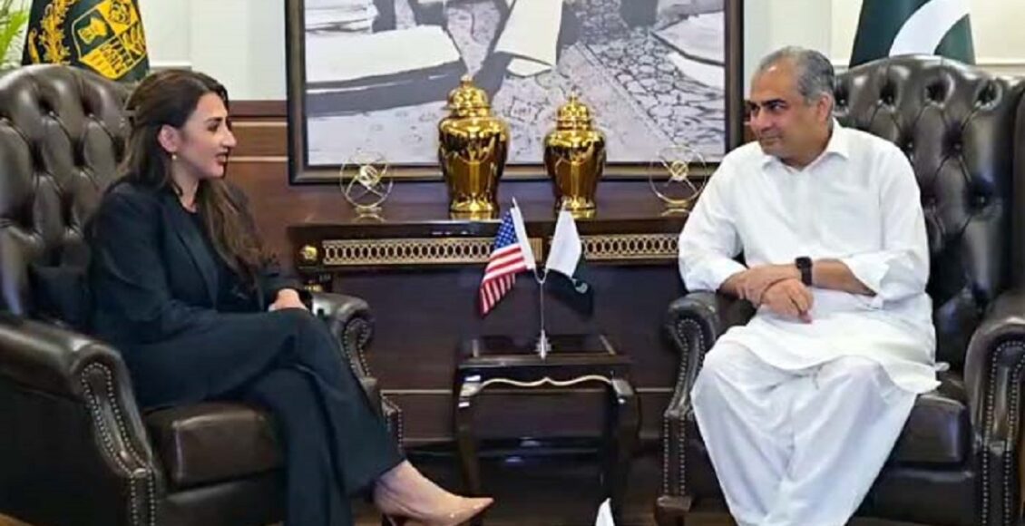 وزیرداخلہ محسن نقوی نے کہا کہ امریکی نائب صدر جے ڈی وینس ، اسٹیووٹکوف اورجیرڈ کرشنر ہمارے خصوصی مہمان ہوں گے۔