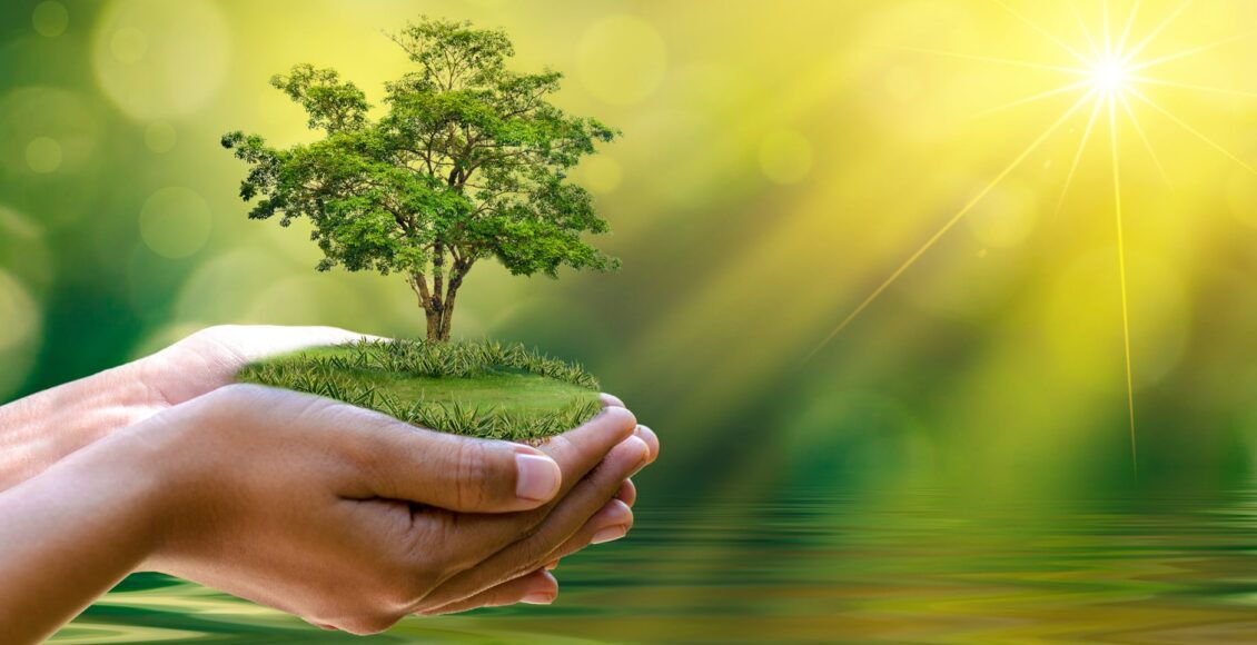 پاکستان میں ارتھ ڈے کی تقریبات اکثر نمائشی سرگرمیوں تک محدود ہو کر رہ جاتی ہیں۔ سوشل میڈیا پر سبز پیغامات، درخت لگانے کی تصاویر اور ماحول دوستی کے دعوے تو بھرپور انداز میں سامنے آتے ہیں، مگر عملی اقدامات کا تسلسل کہیں دکھائی نہیں دیتا۔ یہی وجہ ہے کہ ماہرین ماحولیات اسے "symbolic activism" قرار دیتے ہیں—یعنی وقتی شعور تو پیدا ہوتا ہے مگر دیرپا تبدیلی نہیں آتی۔