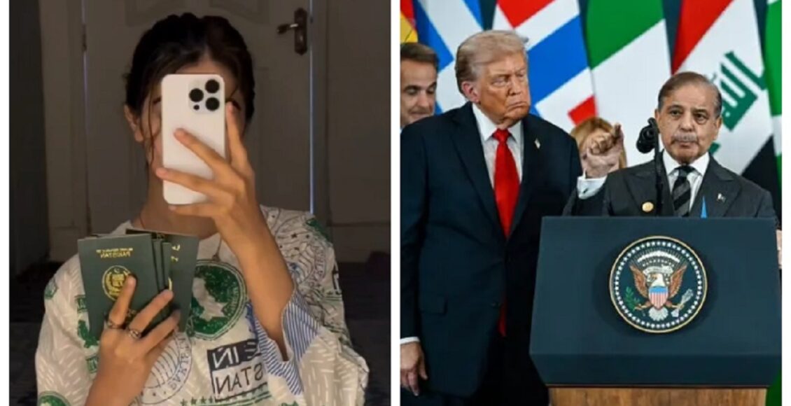 امریکا ایران جنگ بندی: پاکستان کی سفارتی کامیابی پر اوورسیز گرین پاسپورٹ کو لے کر خوش، میمز وائرل