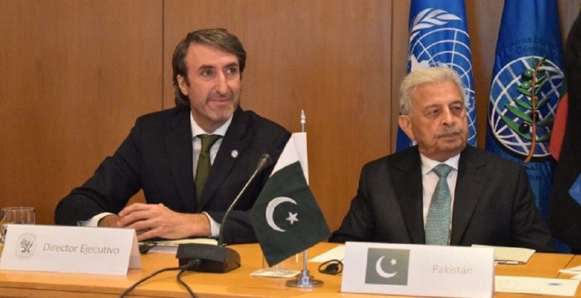 زیتون کے شعبے میں پاکستان پاکستان کو بڑی کامیابی حاصل ہوئی ہے اور پاکستان اب انٹرنیشنل اولیو کونسل کا مستقل رکن بن گیا ہے۔